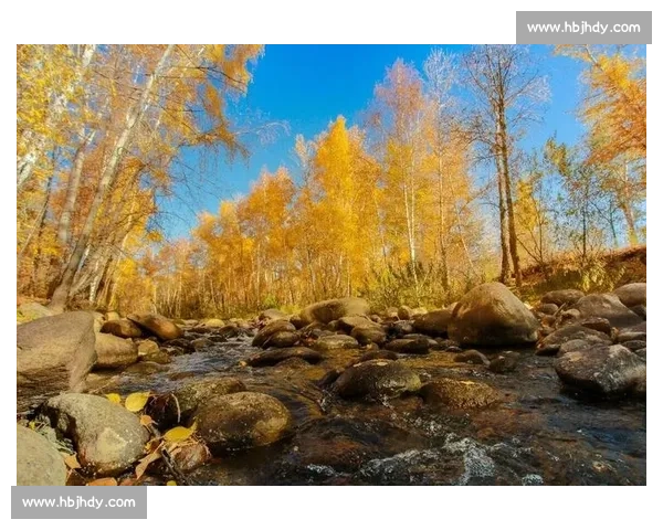 秋日阿勒泰，那束橙色的暖光